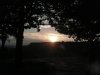 2012-05-27-19-57-13